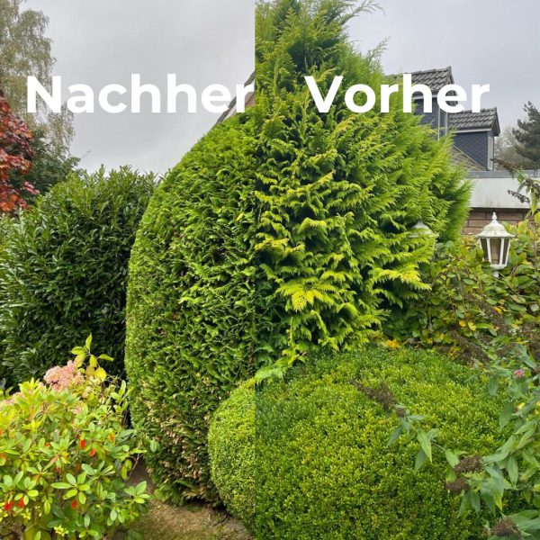 Vorher-2