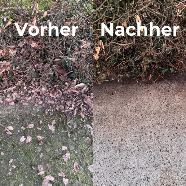 Vorher
